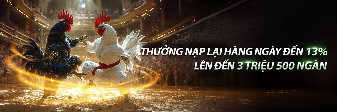 Đấu trường đá gà trực tuyến sôi động tại Xeng88 Nhà Cái